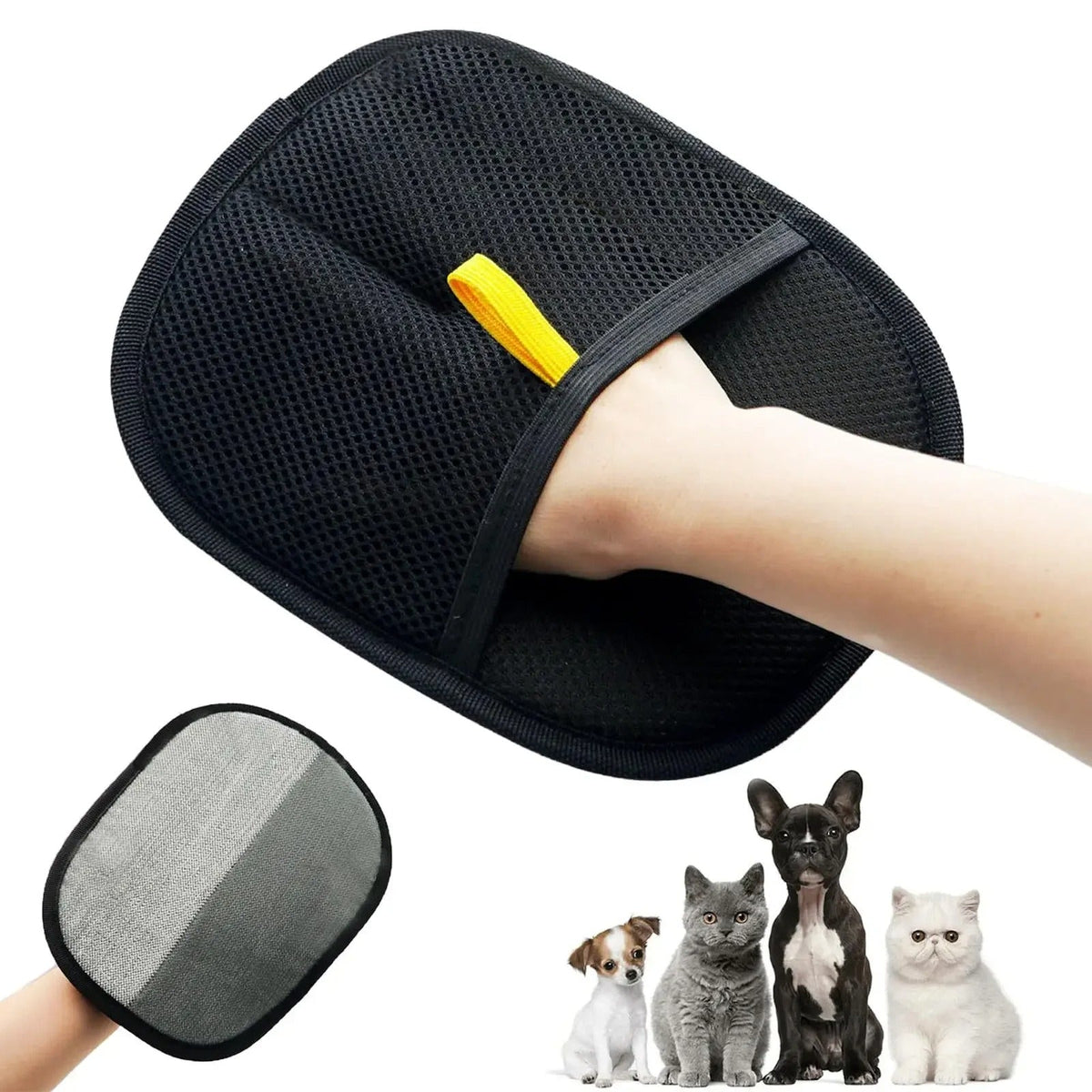 Pet hair removal glove on a hand with pets