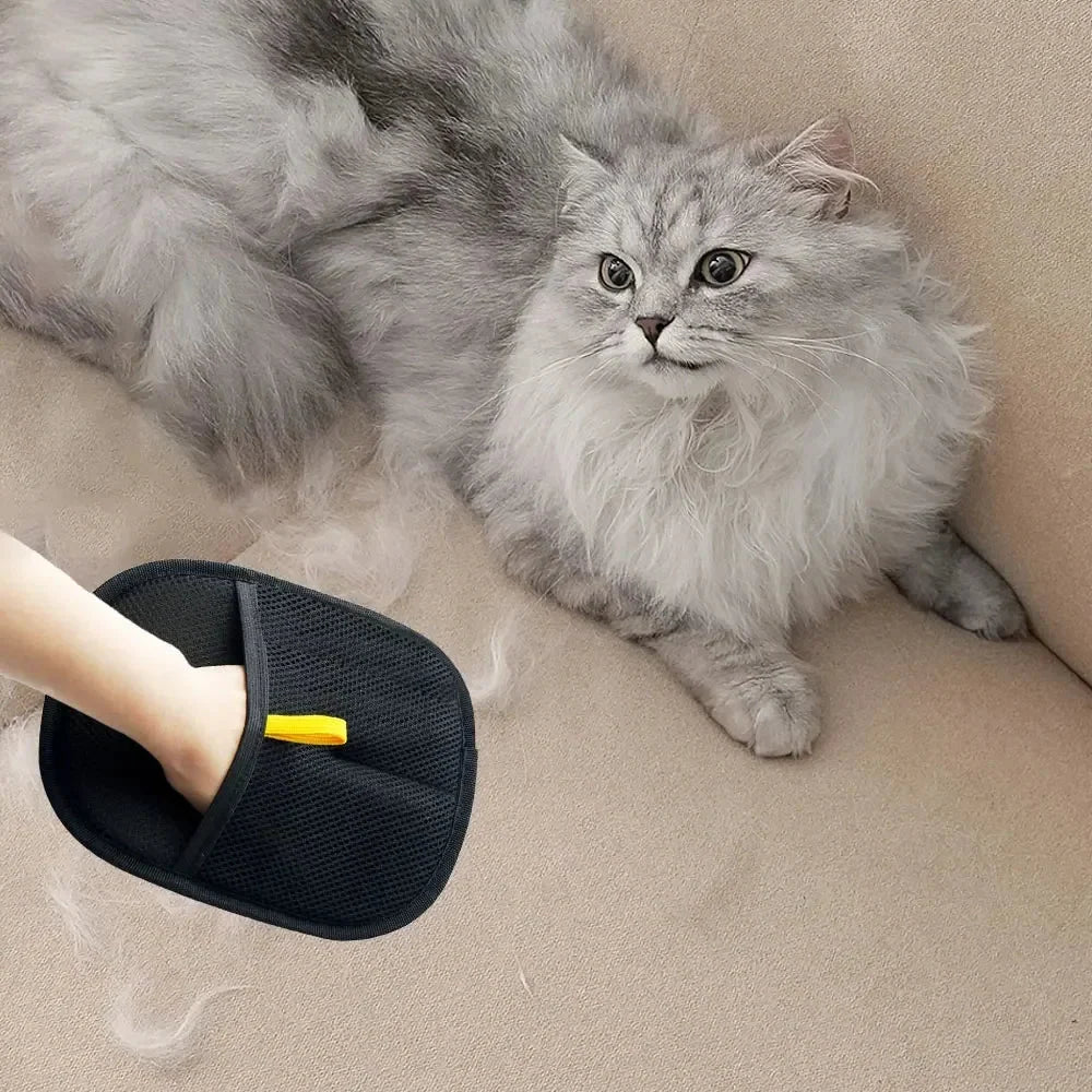 Using the glove on a grey cat